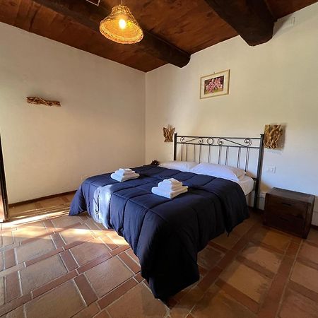B&B Podere Legnotorto Castel del Piano  Eksteriør billede