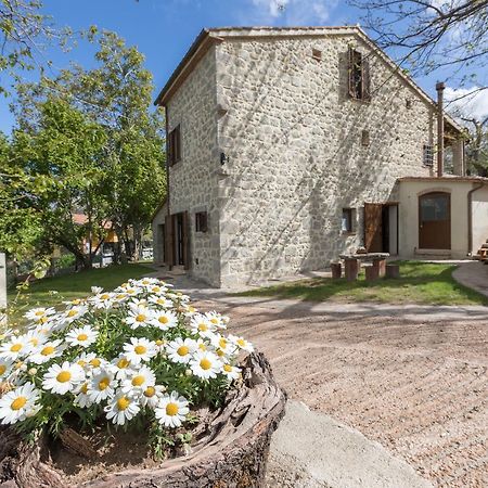 B&B Podere Legnotorto Castel del Piano  Eksteriør billede