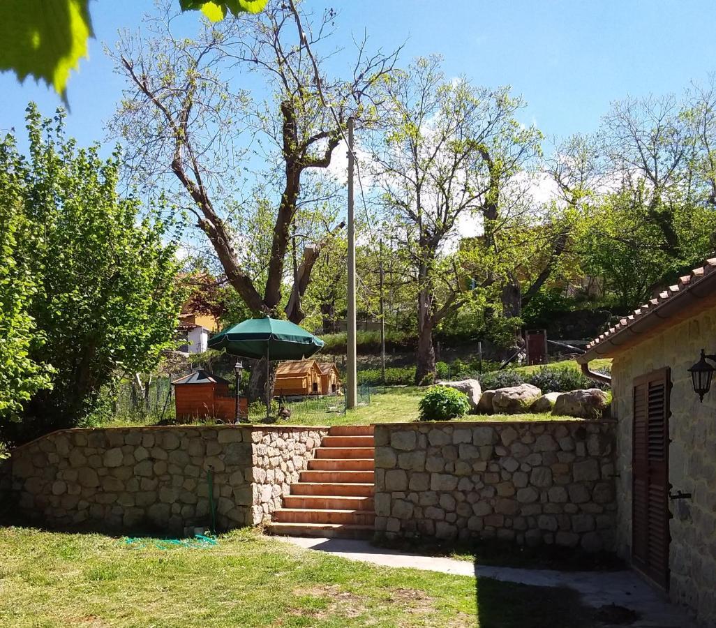 B&B Podere Legnotorto Castel del Piano  Eksteriør billede