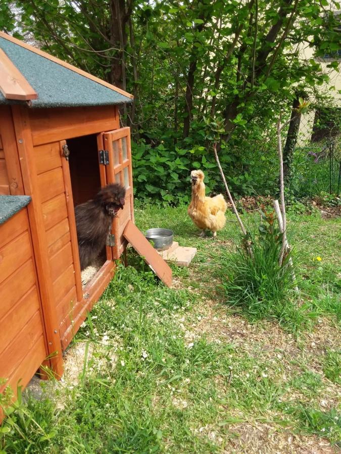 B&B Podere Legnotorto Castel del Piano  Eksteriør billede