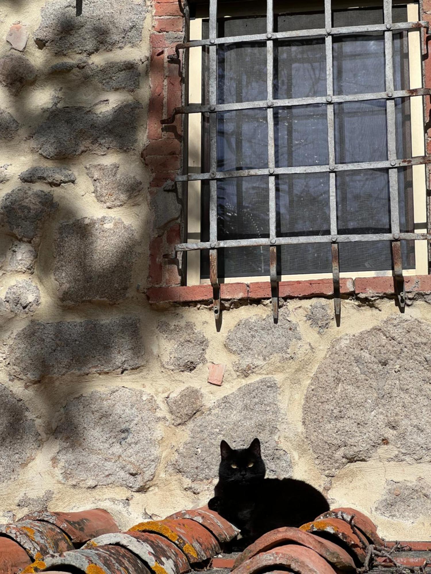 B&B Podere Legnotorto Castel del Piano  Eksteriør billede