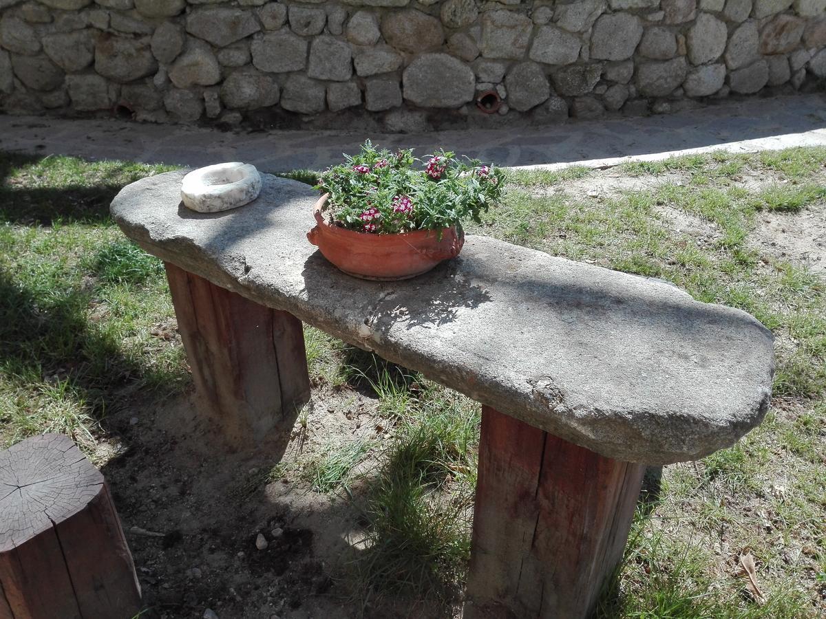B&B Podere Legnotorto Castel del Piano  Eksteriør billede