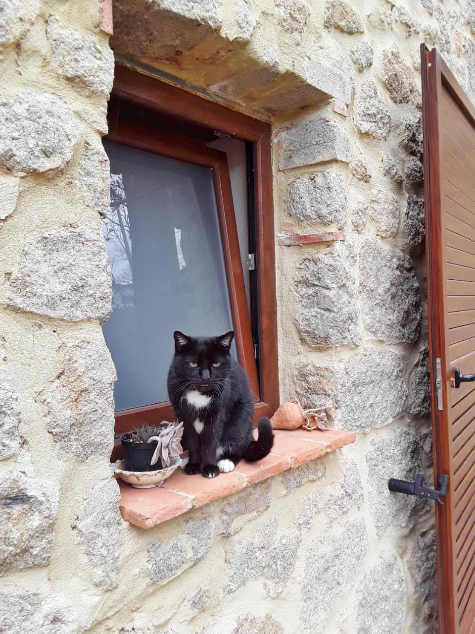 B&B Podere Legnotorto Castel del Piano  Eksteriør billede